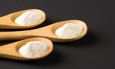 Collagen protein