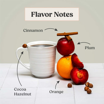 Infographic of bulletproof original coffee Flavor Notes are cinnamon, plum, orange, cocoa hazelnut.