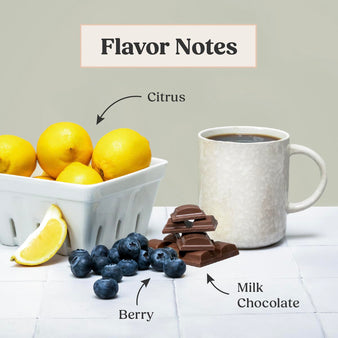 Infographic on breakfast blend flavor notes. Citrus, berry, and milk chocolate. A cup of coffee next to a lemon, some berries, and milk chocolate.