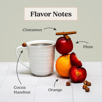 Infographic on bulletproof original coffee flavor Notes. Cinnamon, Plum, Orange, and Cocoa Hazelnut.