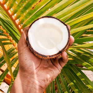 Hand holding two sides of a mature coconut cracked open