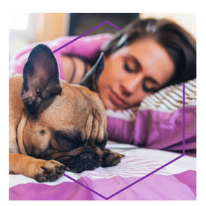 Woman and dog sleeping