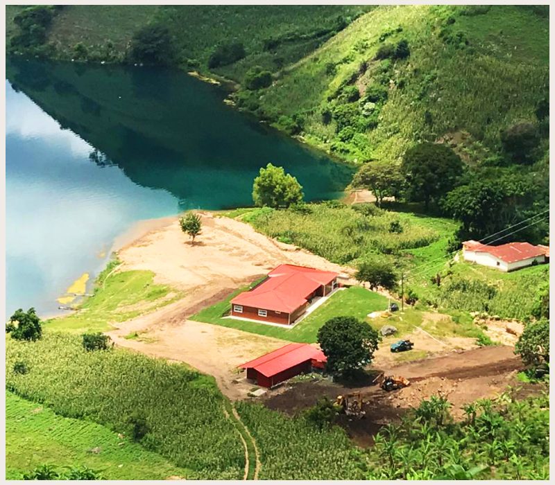 Aerial view of rainforest alliance certified coffee farm